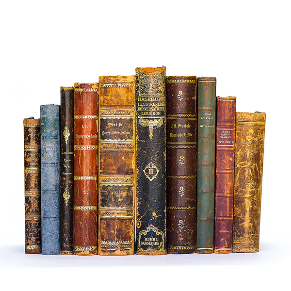 Vintage Book Set With Featured Title book Title /author Decorative